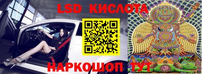 прущие грибы Рыбинск