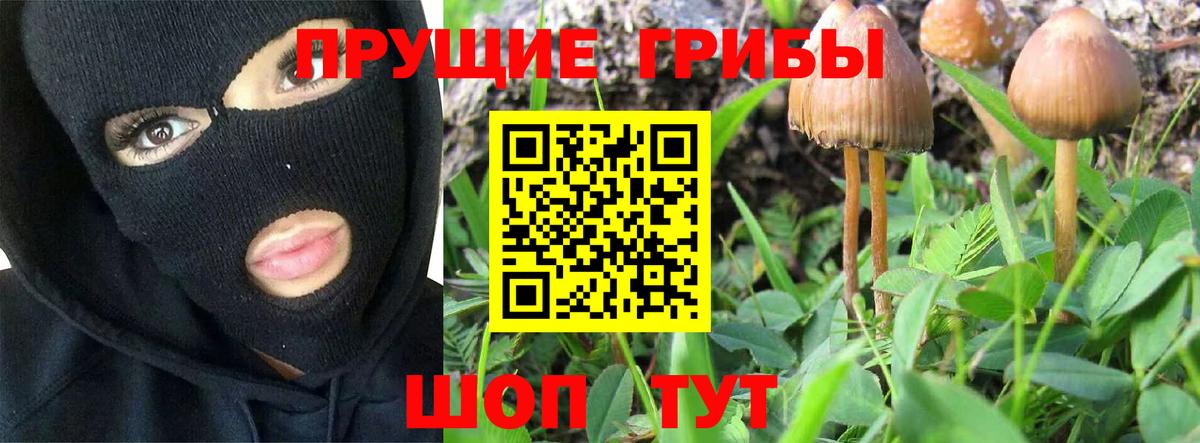 Псилоцибиновые грибы GOLDEN TEACHER Похвистнево