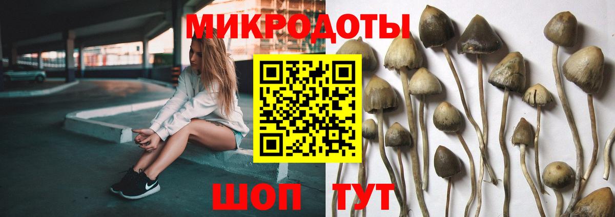 Галлюциногенные грибы MAGIC MUSHROOMS  Вход с VPN  Похвистнево 